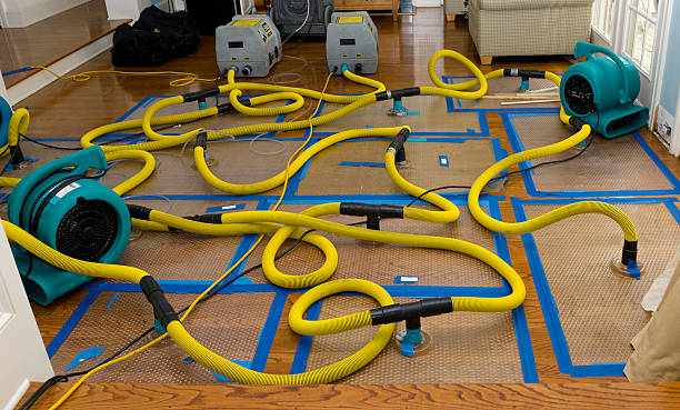Professional Crawl Space Water Removal technician working in Orcas, WA